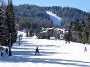 Leichte Piste Beginner am Silver Platter