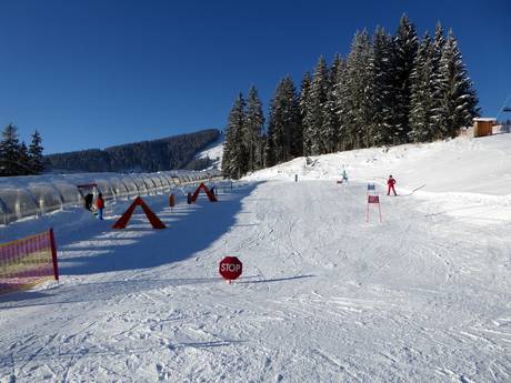 Skigebiete für Anfänger im Geltungsbereich der Alpin Card – Anfänger Schmittenhöhe – Zell am See