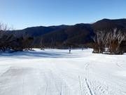 Leichte Piste Walkabout