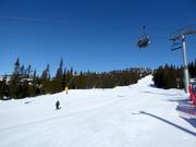 Leichte Piste Nybegynnerbakken