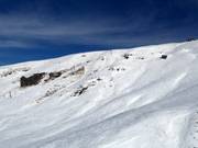 Blick auf das Saddle Basin