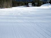 Breit und perfekt präpariert