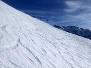 Tiefschneehang am Metschstand