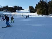 Anfänger-Areal am Tellerlift Almboden
