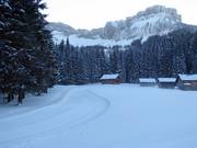 Loipen an der Blaa-Alm