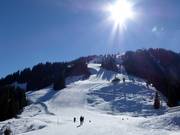 Piste an der Brandstadlbahn