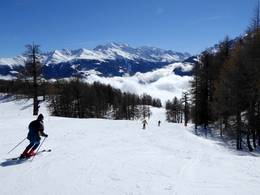 Bürchen/Törbel – Moosalp