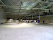 Die Hauptabfahrt mit Obstacles