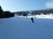 Piste 3 Pařezovka und 5 Pod Zámečkem