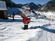 Schneekanone an der Talabfahrt nach Alt St. Johann