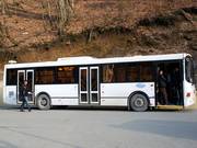 Regelmäßig verkehrende Busse entlasten die Umwelt