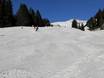 Skigebiete für Anfänger im Berner Oberland – Anfänger Meiringen-Hasliberg
