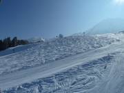 Zwischen den präparierten Pisten ist auch noch Platz