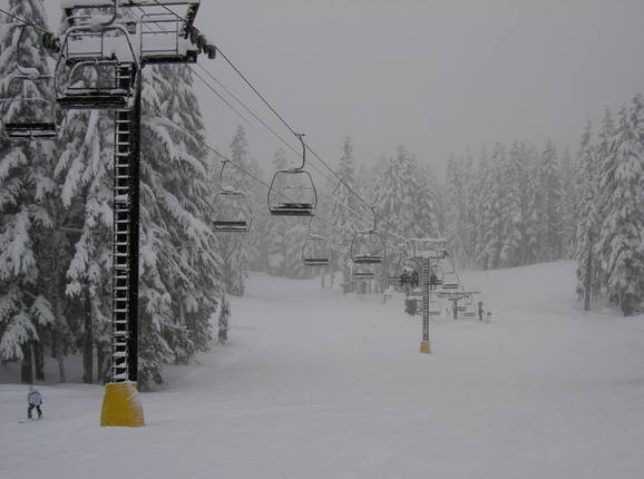 Neuschnee im Skigebiet Timberline