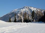 Brandner Loipe am Skigebiet Unternberg
