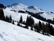 Freeridegebiet Schwarzkogel