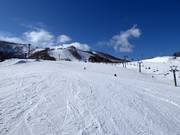 Talabfahrt Kogen (Grand Hirafu)