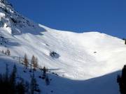 Spuren im Pulverschnee von Fieberbrunn