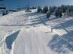 Snowparks Pillerseetal – Snowpark Buchensteinwand (Pillersee) – St. Ulrich am Pillersee/St. Jakob in Haus/Hochfilzen