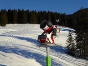 Leistungsfähige Schneekanone