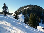 Abfahrt von der Unternbergalm