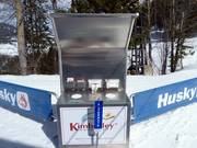 Abfalleimer mit Recycling