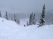 Steile Abfahrten an der Sesselbahn Milly Express