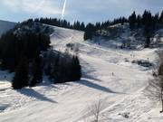 Abfahrten am Pointe de la Turche in Les Gets