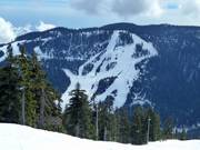 Blick auf die Abfahrten am Black Mountain