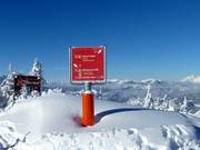 Klare Richtungsweiser