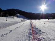 Wiese - Seillift/Babylift mit niederer Seilführung