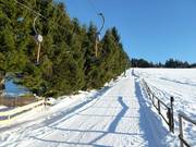 Markbuchen I - Schlepplift mit T-Bügel/Anker