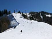 Mittelschere Brandlabfahrt