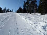 Maston Aitio - Seillift/Babylift mit niederer Seilführung
