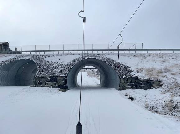 Natt Alpin (Snøreven)