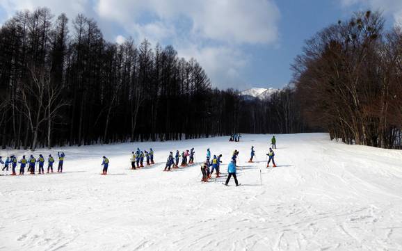 Skigebiete für Anfänger im Verbund der Prince Snow Resorts – Anfänger Furano