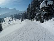 Skiweg vom Skigebietsteil Bürserberg nach Brand