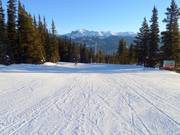 Leichte Piste Home Run