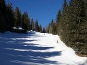 Mittelschwere Piste Sinkmoos zur Talstation Breiteben