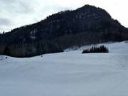 Blick auf die Skipiste am Lärchenhof
