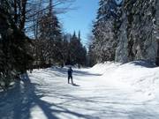 Verbindungspiste Kirchenlift-Almwiesenlift