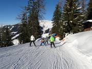 Familienabfahrt Brandlalm