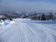 Leichte Piste Sielska