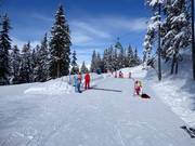 Tipp für die Kleinen  - Kinderland der Skischule Tritscher