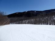 Leichte und breite Piste an der Jordan Bowl