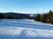 Abfahrt am Doppelschlepplift Predigtstuhl I