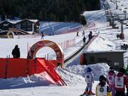 Marmotta - Förderband/Zauberteppich