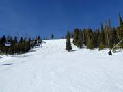 Abfahrt Take a Bough