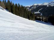 Präparierte Piste im Skigebiet Drei Zinnen Dolomiten