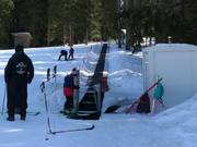 #12 Malina - Förderband/Zauberteppich